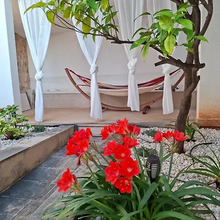 Mit Pool Und Meerzugang * Kovacic