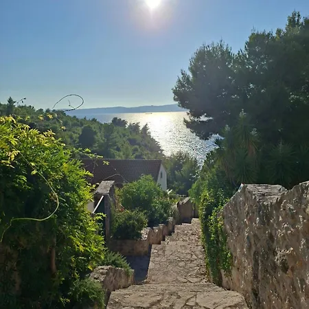 Mit Pool Und Meerzugang * Kovacic